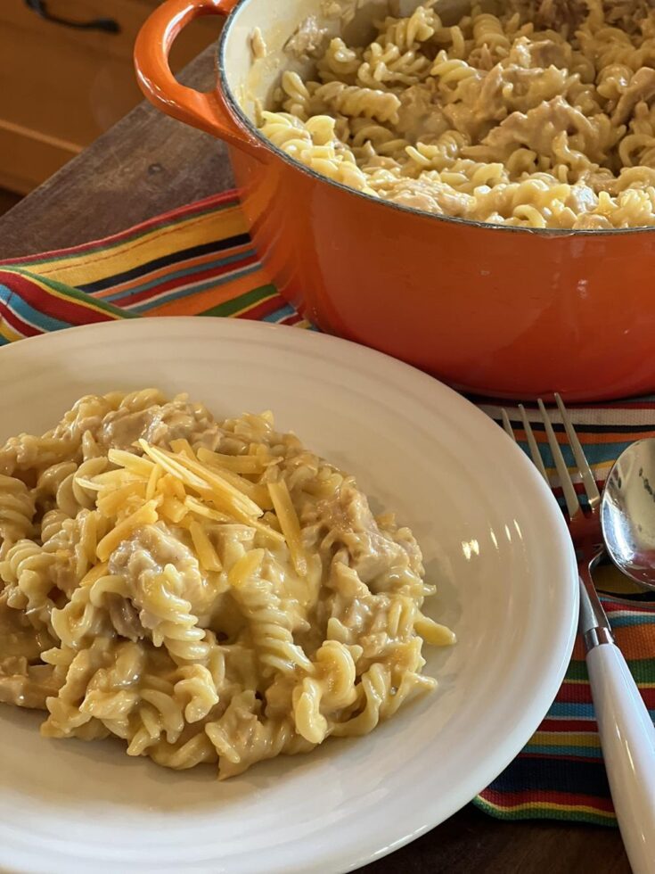 Tuna Helper on white plate with pan in background